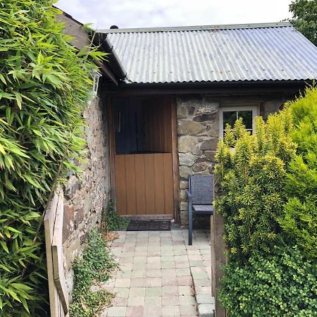 Blaenporth Apple Tree Corner 빌라 외부 사진