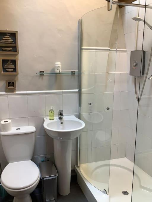 Blaenporth Apple Tree Corner 빌라 외부 사진